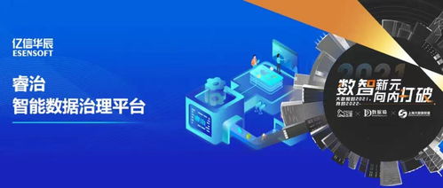 億信華辰睿治VIP策略 打造數(shù)據(jù)治理最佳實踐的數(shù)據(jù)處理與存儲支持服務
