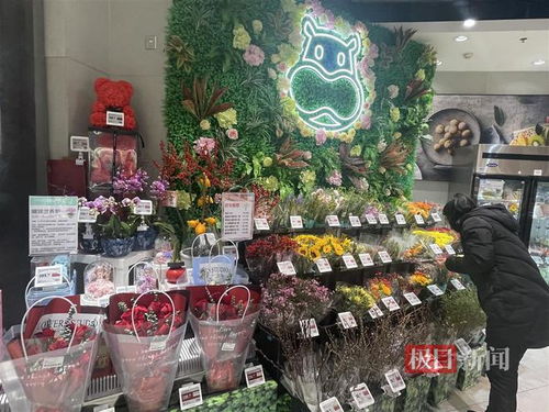 鮮花消費日常化趨勢明顯，武漢時令春花綻放新商機