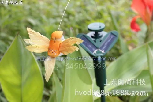 太陽能蝴蝶與蜂鳥 義烏直銷點亮戶外裝飾與創(chuàng)意禮品新潮流
