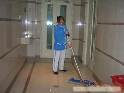 專業開荒保潔服務與物業管理 覆蓋永嘉、洞頭、平陽、蒼南、文成、泰順